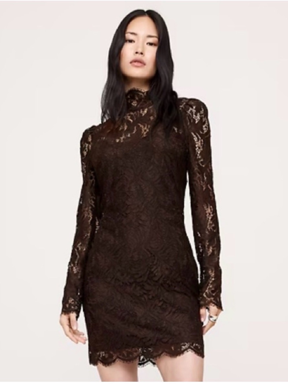 Banana Republic Chocolate Brown Lace Mini Dress